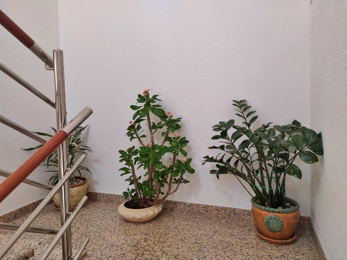 Apartmani Skejic Split Dış mekan fotoğraf